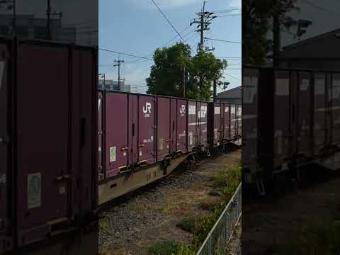 日本製紙岩国工場、構内軌道。