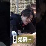 本髙克樹カピバラ化w #7MEN侍 #中村嶺亜 #本髙克樹