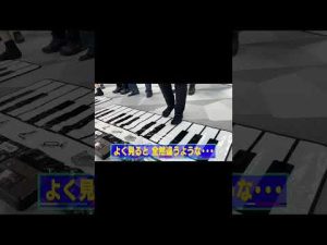 美 少年になった琳寧となれなかった大光 #7men侍 #中村嶺亜 #菅田琳寧 #本髙克樹 #佐々木大光 #今野大輝 #矢花黎