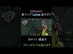 【VALORANT】新マップLotusの壁抜きポジション