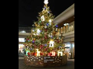 昭島モリタウンのクリスマスツリーを撮影してみた‼️