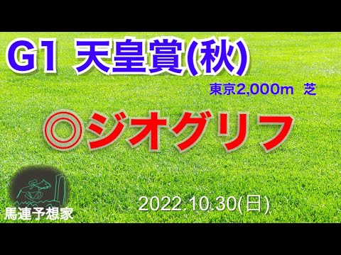 2022天皇賞・秋◎ジオグリフ　#馬連#全頭診断#競馬初心者#ジオグリフ#東京競馬場#天皇賞秋