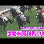 2023/01/14【パドック返し馬つき】小倉6R 3歳未勝利戦  ☆エールミネルヴァ アメリカンペイトリオット #レースは10分ころから