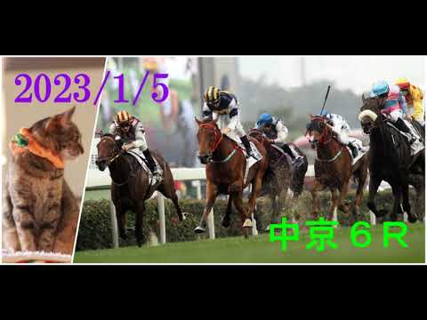 2023/1/5　中京６レース　枠順確定