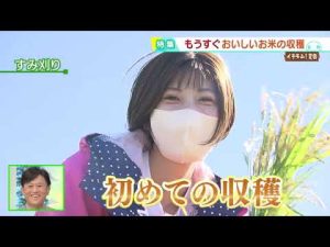 田口アナが植えた稲は？実りの秋、収穫間近【イチモニ！農園2022】第三弾