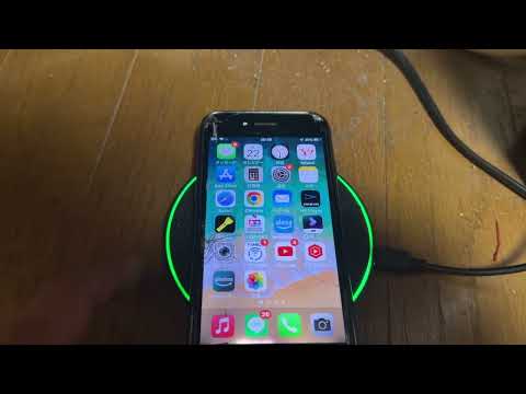 タヌキに持っていかれた私の携帯電話。3か月後に発見したら、何とか生きていた