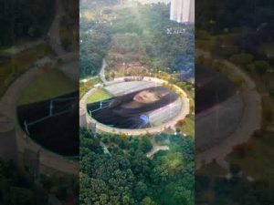 となりのトトロ#日向坂46 #齊藤京子 #月と星が踊るmidnight #トトロ