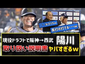 現役ドラフトで阪神から西武へ！陽川尚将選手の取り扱い説明書ヤバすぎるｗｗｗ山賊打線の一角になるんやで！【2ch野球まとめ】