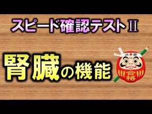 【聞き流し・スピード確認テストⅡ・67】腎臓の機能（解剖生理学・泌尿器系）