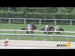 2022年8月28日　小倉6R　2歳新馬　バレリーナ