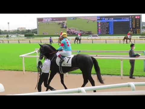 2022年10月09日 東京3R 本馬場入場 アヴニールドブリエ