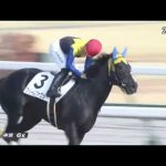 2023/01/05【パドック返し馬つき】中京6R　３歳1勝クラス　　☆フリームファクシ　ルーラーシップ　　＃レースは10分ころから