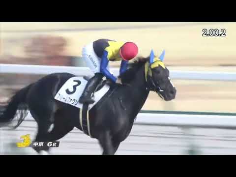 2023/01/05【パドック返し馬つき】中京6R　３歳1勝クラス　　☆フリームファクシ　ルーラーシップ　　＃レースは10分ころから