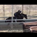 ルーチェロッサ（ルミナスレッドの20）20220329