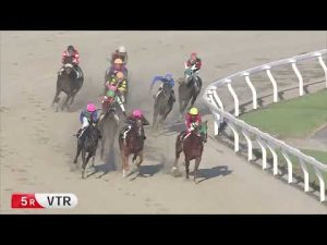 川崎競馬ダイジェスト2022年8月2日(火）