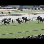 2023/01/05　中山競馬場　6R　アヴニールドブリエ　バシュロ騎手　ビターグラッセ