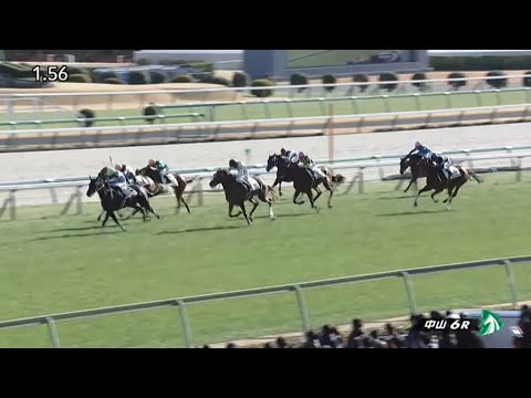 2023/01/05　中山競馬場　6R　アヴニールドブリエ　バシュロ騎手　ビターグラッセ
