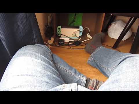 ハッピーレオンの替歌シリーズ２－２タラコ、タラコ、タラコの替歌　変な風に歌ってみました。