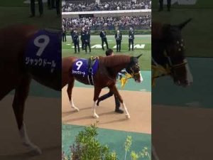 ジャックドール 天皇賞・秋2022