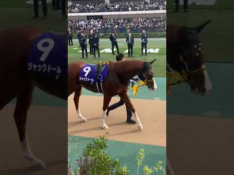 ジャックドール 天皇賞・秋2022
