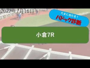 【パドック診断】2022年7月16日小倉7R