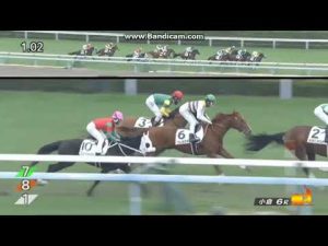 2023年1月29日　小倉6R　3歳未勝利　アウフヘーベン