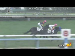 2023年1月28日　小倉6R　3歳未勝利牝　トーセンアウローラ