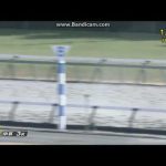 2023年1月21日　中京3R　3歳新馬　メイトースイ