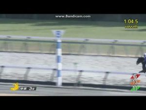2023年1月21日　中京3R　3歳新馬　メイトースイ