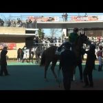 3歳未勝利 現地パドック コレオグラファー トラストエムシー ウインルーティン ルナビス コパノサントス 2023/1/8 中京競馬場 5R