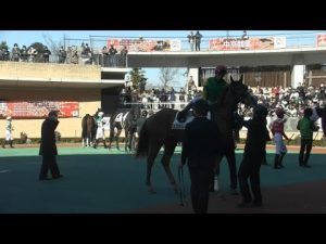 3歳未勝利 現地パドック コレオグラファー トラストエムシー ウインルーティン ルナビス コパノサントス 2023/1/8 中京競馬場 5R