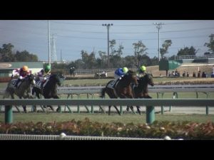 3歳未勝利 現地 レース コレオグラファー トラストエムシー ウインルーティン ルナビス コパノサントス