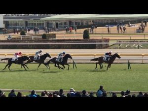【現地】ラッジオ メイクデビュー東京 3歳新馬戦