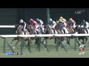 2023 02 04 東京6R 3歳新馬 ラッジオ(菅原明良)