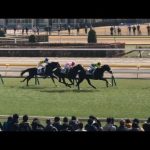 【現地】サトノトルネード 3歳未勝利