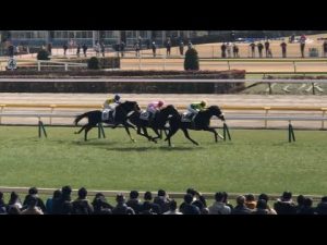 【現地】サトノトルネード 3歳未勝利