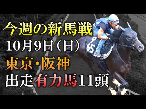 【新馬戦】金子真人HDのダービー候補・フリームファクシ登場!10月9日(日)の新馬戦に出走予定の有力2歳馬11頭を紹介します!【最終追切】【pog22-23】