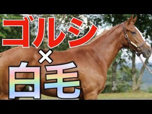 【話題性凄い】ゴールドシップ産駒の白毛馬が熱すぎる！大物も出てきそう。