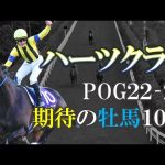 【pog22-23】遂に掴む主役の座！ハーツクライ産駒期待の牡馬10頭を紹介します！【2歳馬】