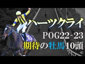 【pog22-23】遂に掴む主役の座！ハーツクライ産駒期待の牡馬10頭を紹介します！【2歳馬】