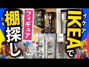 【フィギュア棚】デトルフを超える!?フィギュアが増えると棚も欲しくなる！イケアにてフィギュア棚を探してきました｜ブローリーデン、ルードスタ